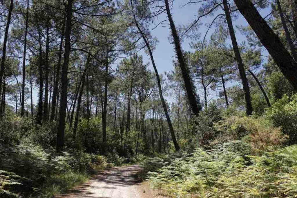 Chez Floflo Villa Rion-Des-Landes Eksteriør billede
