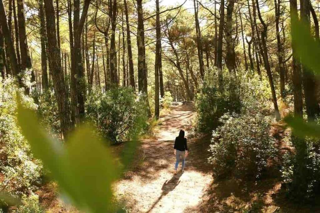 Chez Floflo Villa Rion-Des-Landes Eksteriør billede